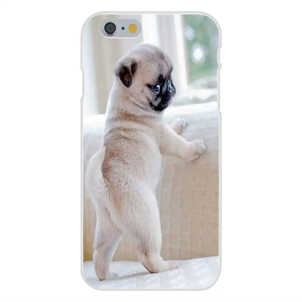 Мягкий ТПУ защитный чехол для Apple iPhone 4 4S 5 5C 5S SE 6 6S 7 8 Plus X XS Max XR | Мобильные телефоны