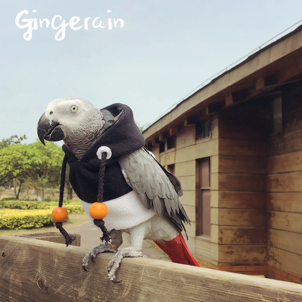 Gingerain одежда с птицами попугай мимолетное время оригинальная ручная работа на