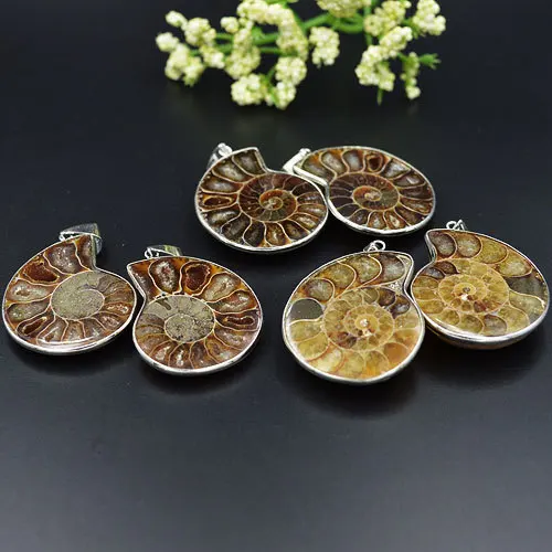 Подвеска для Полировки натурального аммонита 28 40 мм|gemstone headband|gemstone butterfly pendantpendant