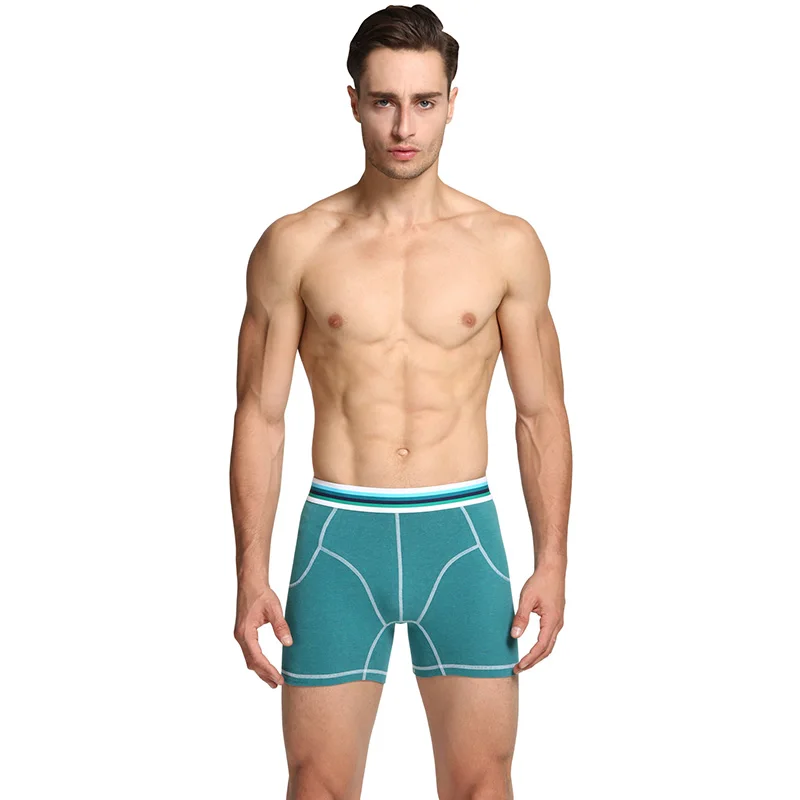 NXY 4pcs/set Soft Male Underwear Long Leg Shorts Cotton Breathable Mens Boxers Shorts U-convex Man Panties Calzoncillo Hombre