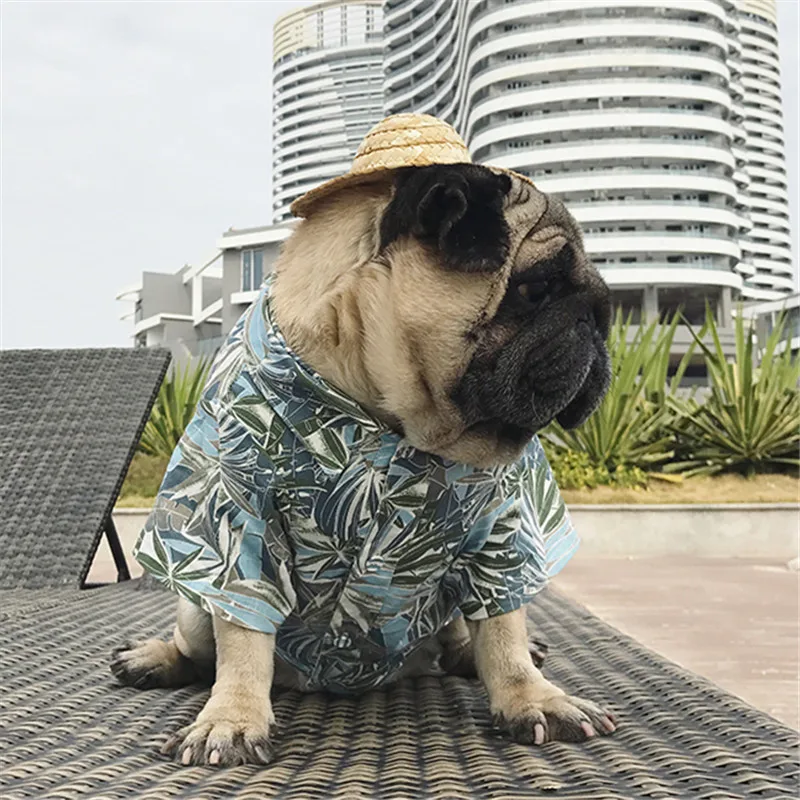 Bigeyedog летняя одежда для собак Рубашка для питомцев Мопс французская одежда для бульдога Frenchie одежда Прямая поставка рубашка для собак костюм одежда