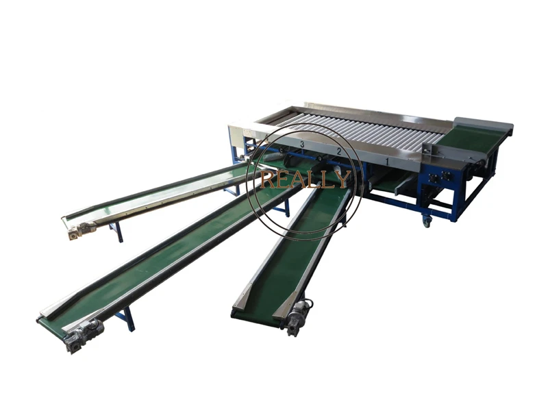 custom orange washing and roller sorter machine tomato sorting machine for fruit