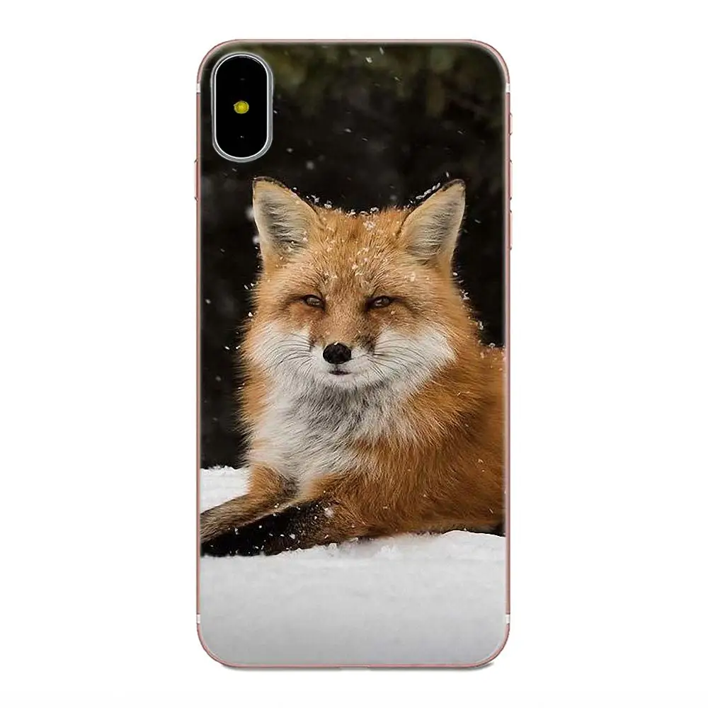 Милый Arctic fox для Apple iPhone X XS Max XR 4 4S 5 5C 5S SE 6 6S 7 8 Plus уникальный прозрачный чехол из