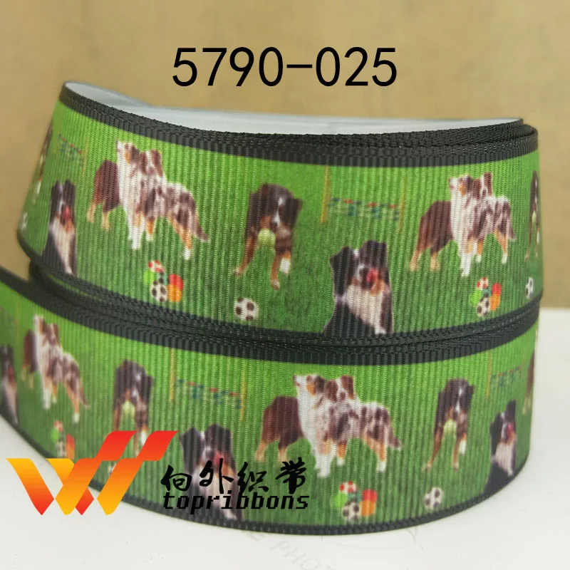 Бесплатная доставка 50 ярдов мультяшная печатная корсажная лента 5796 | Дом и сад