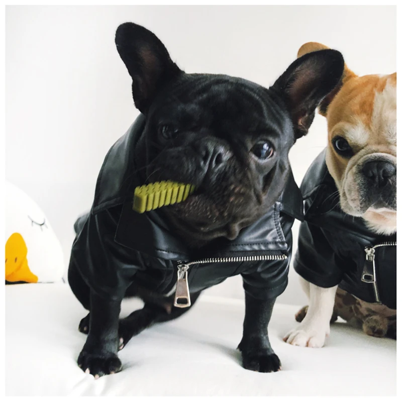 [MPK Dog зимняя одежда] крутая куртка для собак, фланелевая мягкая тканая ткань внутри, полиуретановая кожа снаружи