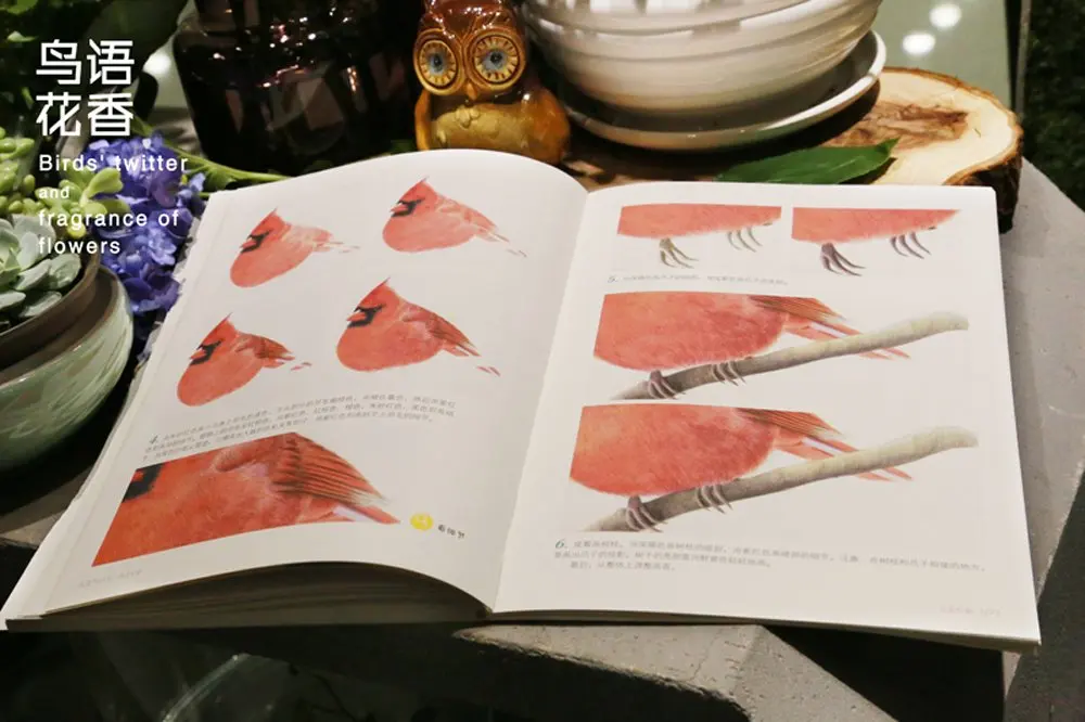 Китайский цветной карандаш учебная книга обучающая техника ручной росписи