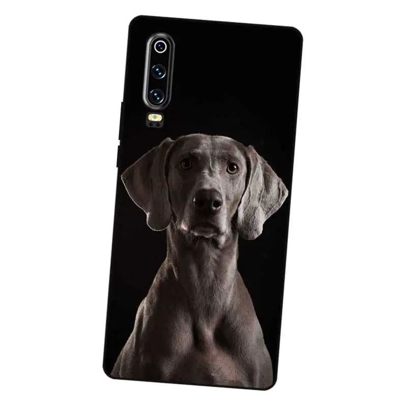 N464 Weimaraner Cute Black Silicone Case Cover For Huawei P8 P9 P10 P20 P30 Lite Pro P Smart Plus 2017 2019 |