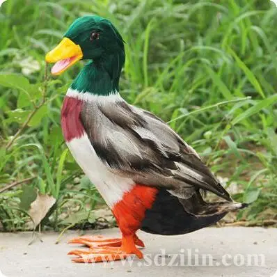

Zilin Manufacturer / simulation mallard decorl, 23*18*27 cm