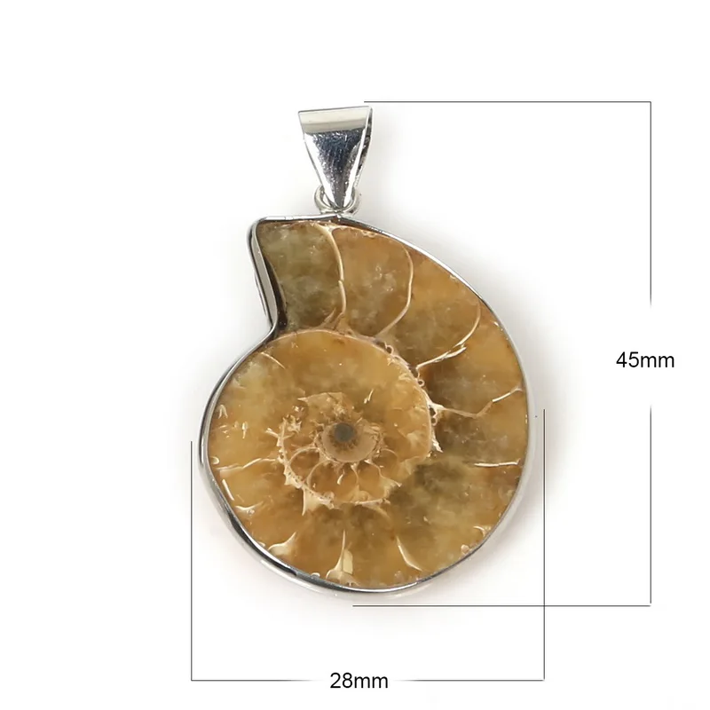 Лучшая продажа 28x45 мм медная окантовка натуральный кулон с жемчужной раковиной