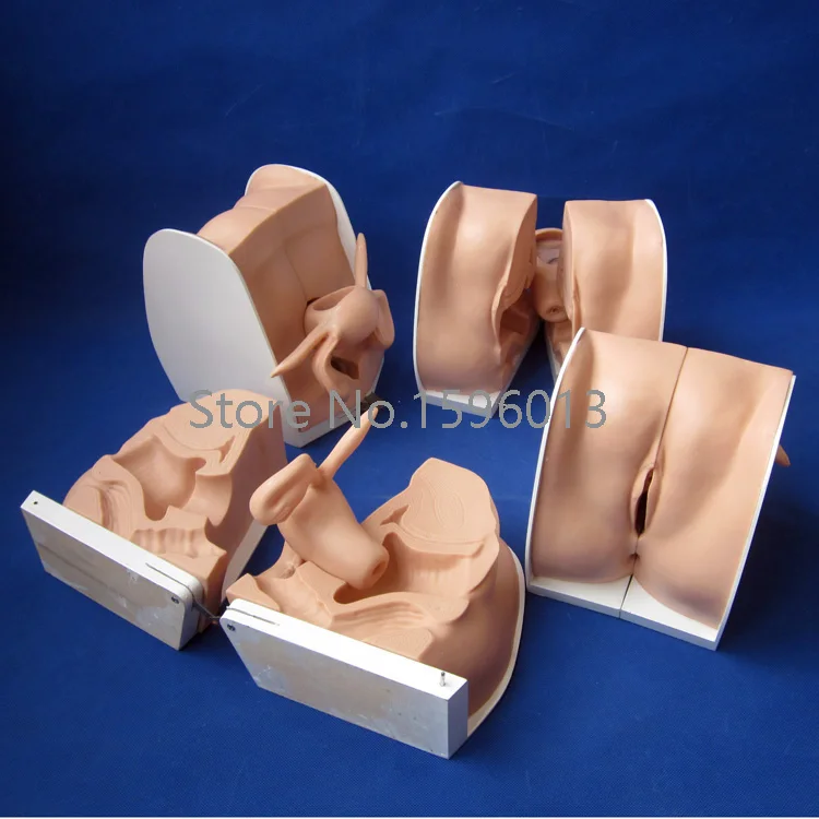 Усовершенствованная модель контрацепции противозачаточная помощь | Канцтовары