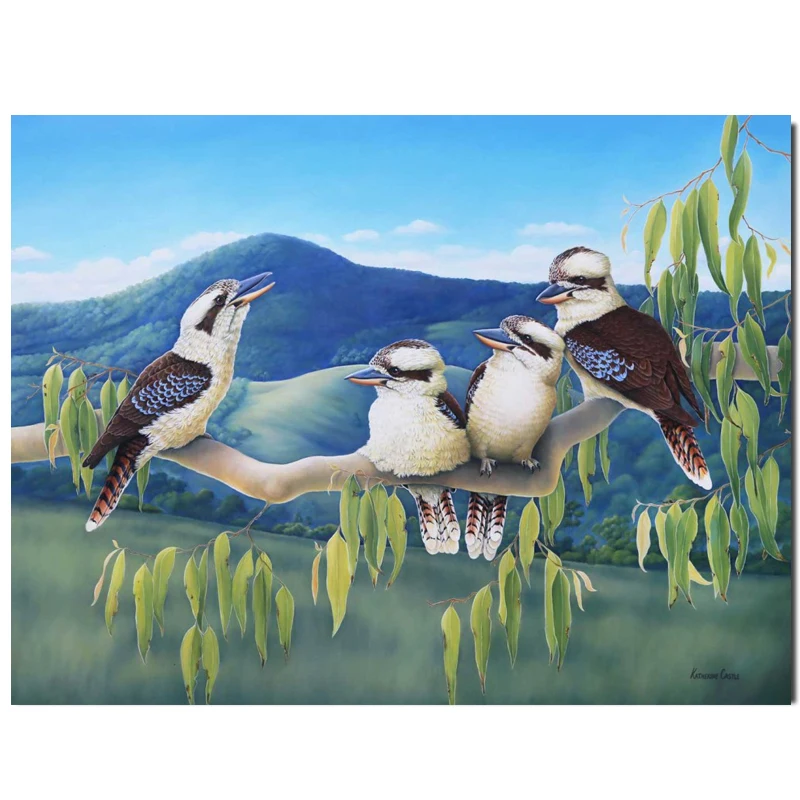 5D diy Алмазная вышивка Kookaburras круглые стразы с полными квадратами живопись по
