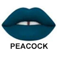 22 PEACOCK Горячие Цвета блеск для губ стойкий жидкая матовая губная помада макияж блеск для губ ручка брендовая косметика - Цвет: 22 PEACOCK