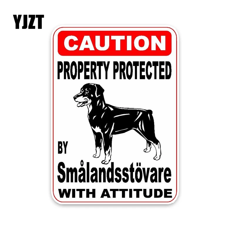 YJZT 10*14 2 см собственность защищенная разными фотографиями собаки|car sticker|decoration carcar