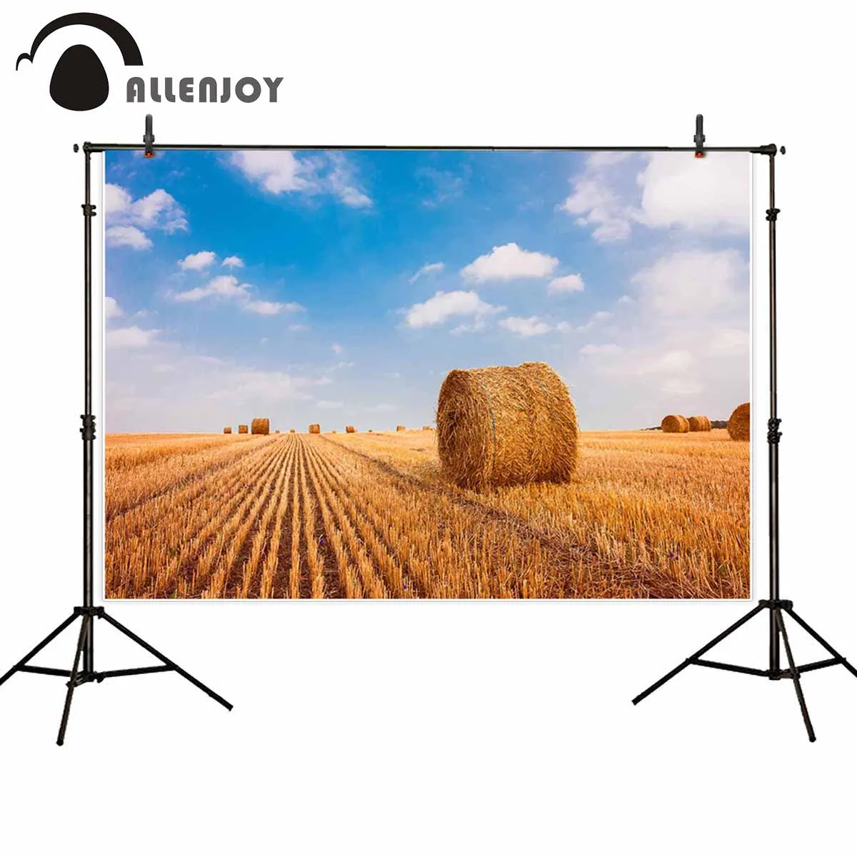 

Allenjoy фоны для фотостудии, сено, тюк, сельскохозяйственный небо, природа, сельскохозяйственный для соломы, луга, пшеницы, Фотофон для осени