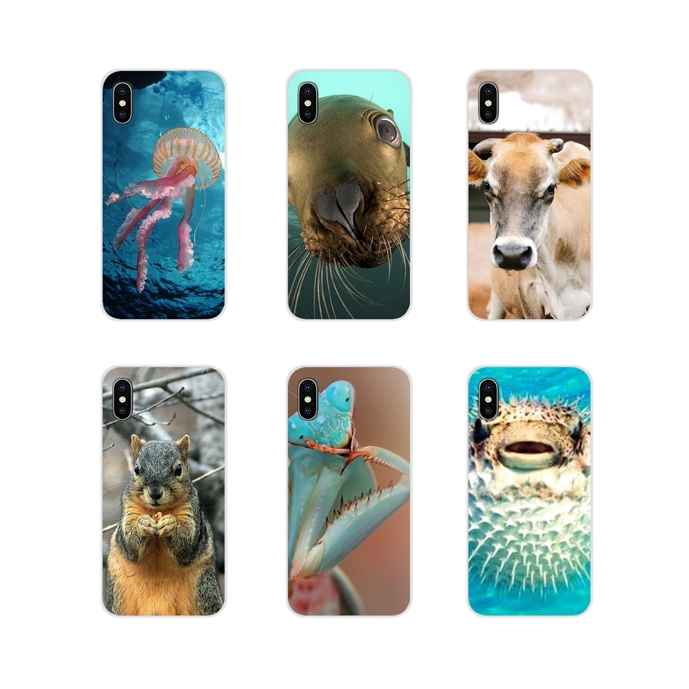 Забавные Животные аксессуары для телефона Motorola Moto X4 E4 E5 G5 G5S G6 Z Z2 Z3 G G2 G3 C Play
