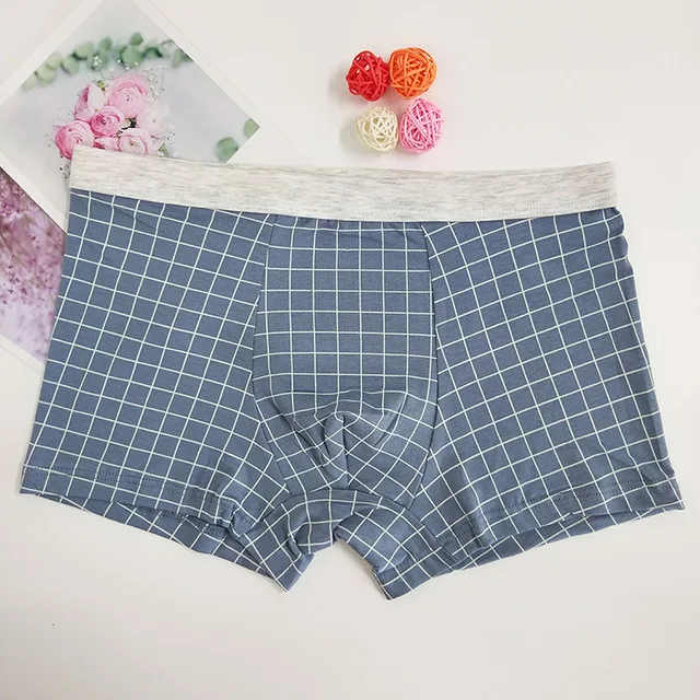 D Deep Blue Новинка, мужские боксеры, нижнее белье, хлопок, дышащие, Cueca Masculina, Мужские боксерские шорты, мужские трусы, клетчатые мужские трусы, 2XL-4XL - Цвет: D Deep Blue