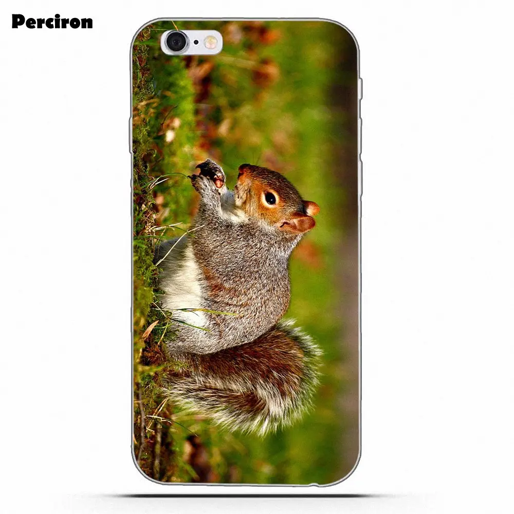 Perciron Squirrel Soft TPU Print Cover Case For Xiaomi Redmi Note 2 3 3S 4 4A 4X 5 5A 6 6A Pro Plus