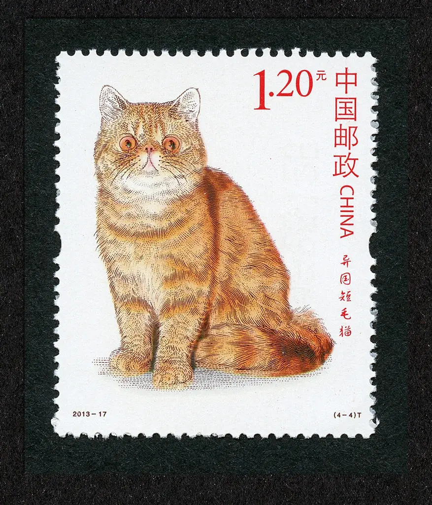 Новый Китай 2013 17 кошачий почтовый штамп 4 шт марки Новые MNH|Штампики| |