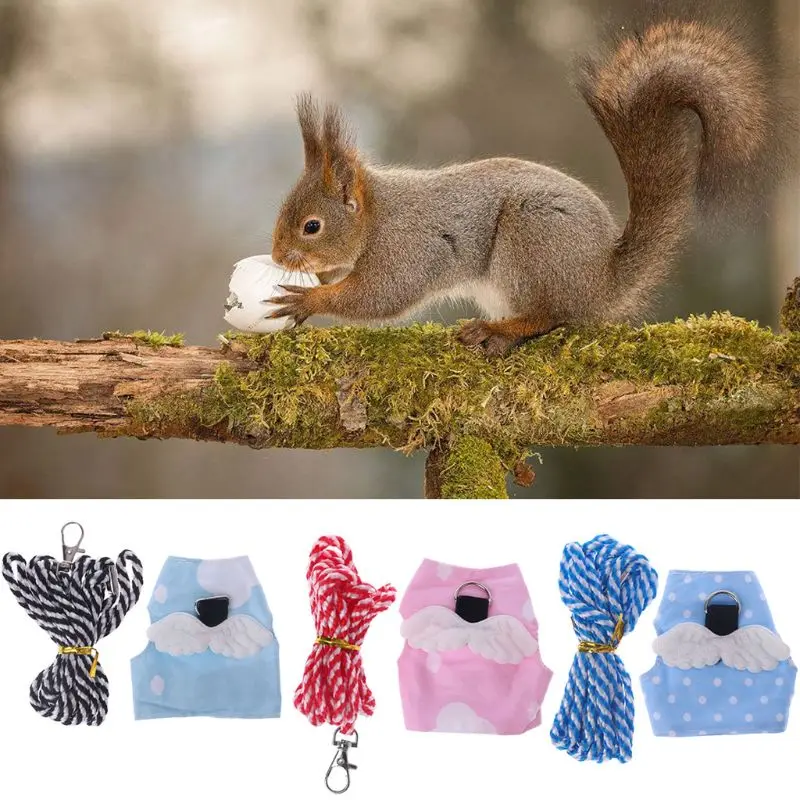 Маленький поводок для домашних животных коррет хомяк крылья морской свиньи