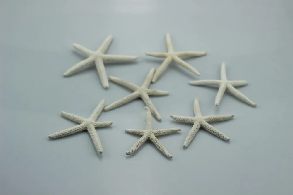 2 шт. белый натуральный палец Морская звезда крафтовое украшение натуральная