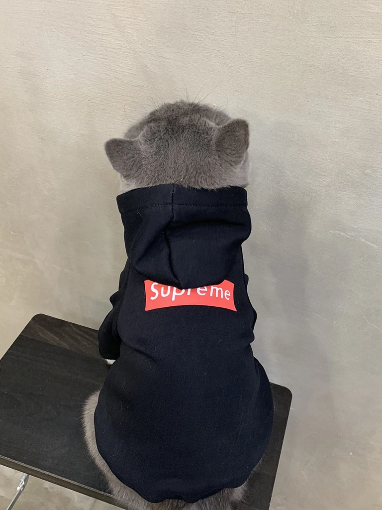 Худи с кошкой Одежда для кошек собак Ropa Para Gato одежда щенков теплая толстовка