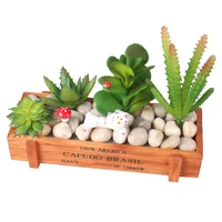 artificial fleshiness cactus plant set succulent plants cactus bonsai local landscape decorative flower for box decoration