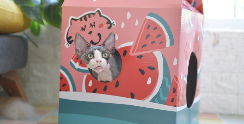 [MPK Store] японская кошачья скретч доска, кот котенок диван, кошка игрушка