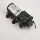 Регулируемый самовсасывающий мембранный Водяной насос, 12 дюйма, 12 В, 100 Вт