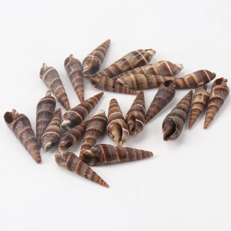

Brown Natural Spiral Seashell Sea Snail Loose Beads for Handmade Home Decoration 40pcs 30-43mm TRS0128