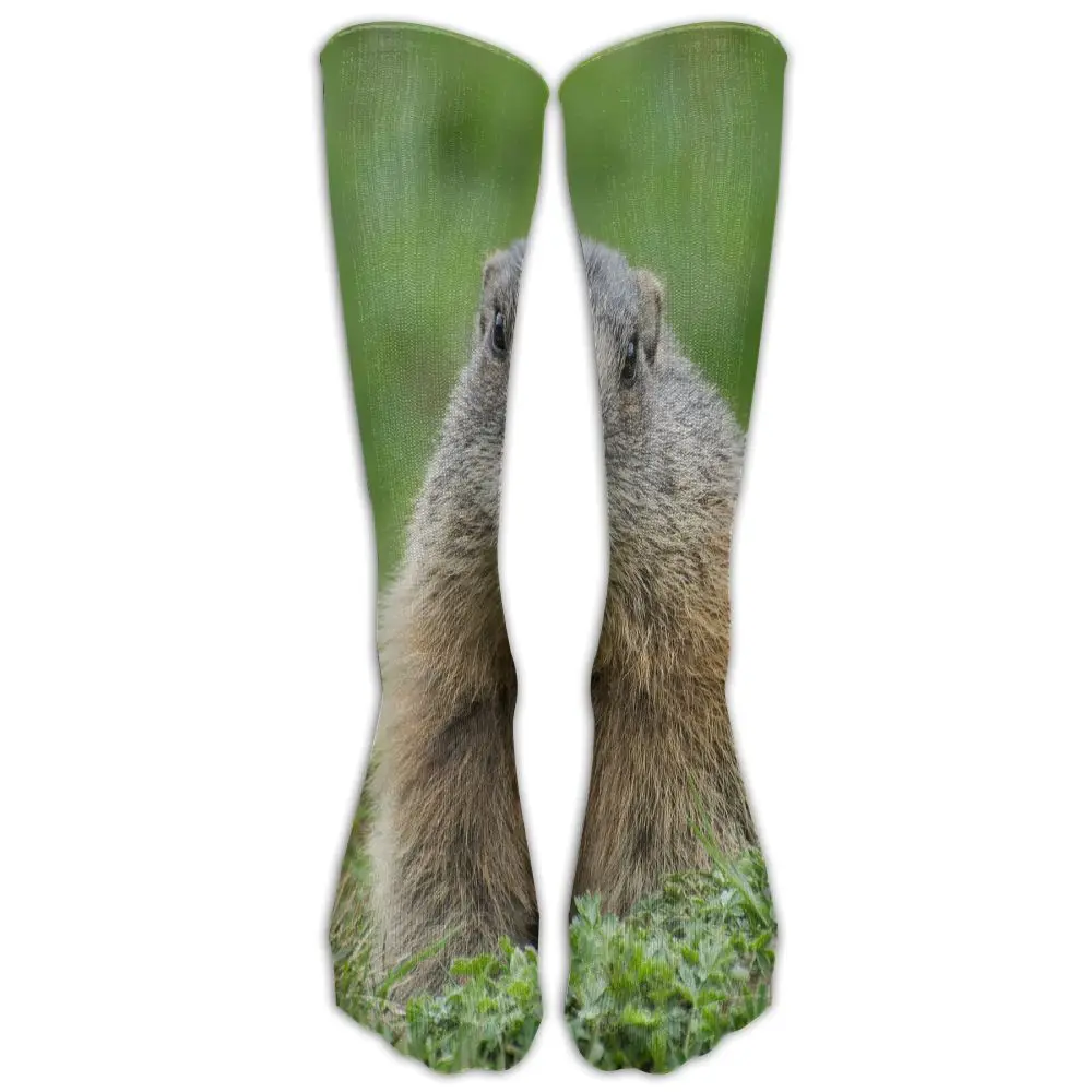 SAMCUSTOM Fashion Knee Socks Women Cotton High Over The Stockings For Ladies cute Marmota 3D Printing Long Stocking | Женская одежда