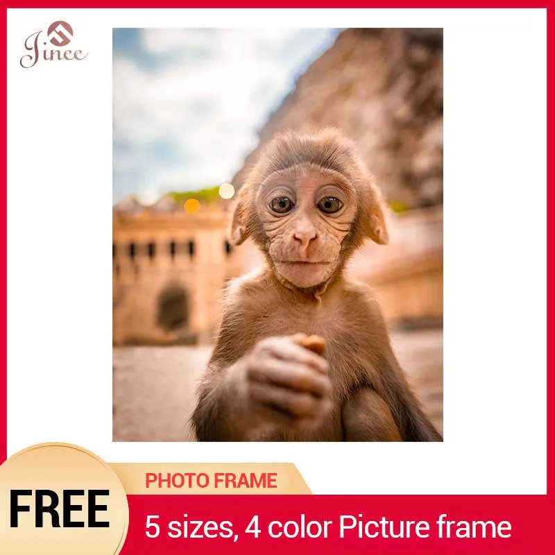 

Diy Diamond Painting Cross Stitch Kits 5D Diamond Embroidery Animal Monkey Home Decor Full Square Round Diamond Mosaic Pictures