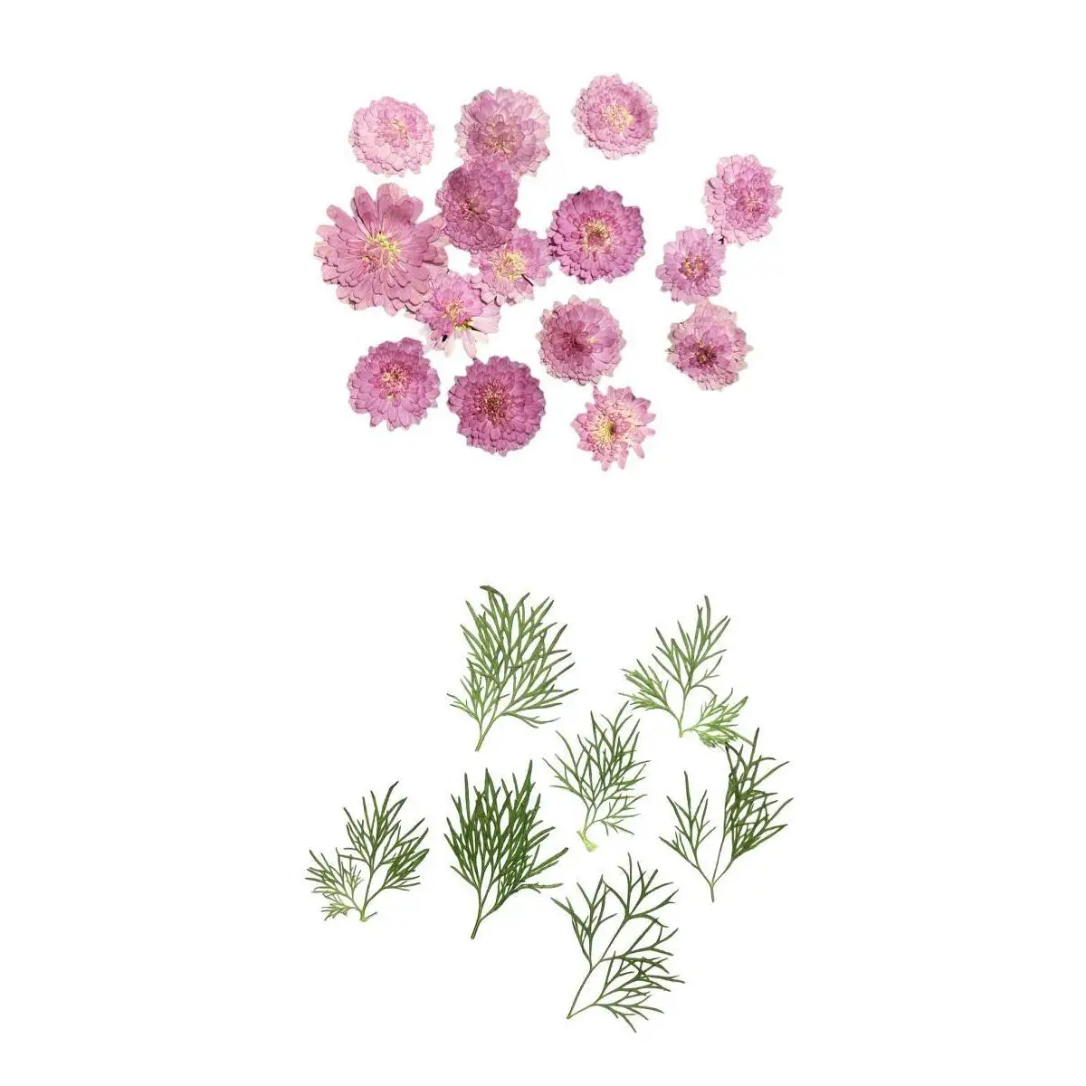 20 шт. маленькие прессованные настоящие сушеные цветы листья сделай сам ювелирные