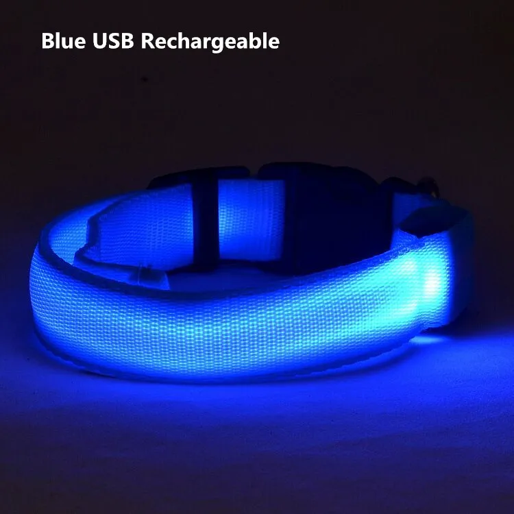 Светодиодный ошейник для собак Honden Halsband с питанием от батареи или USB Перезаряжаемый поводок для собак люминесцентный воротник Перро мигающий A02 - Цвет: blue USB recharge