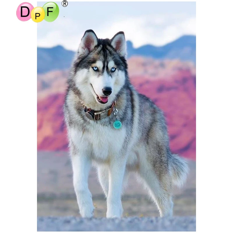 DPF DIY husky 5D crafts home decor diamond painting cross stitch embroidery wall mosaic kit full square | Дом и сад