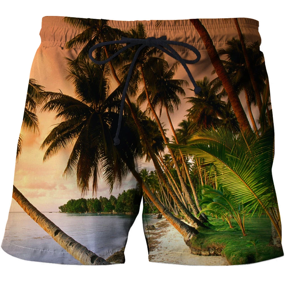 

Coco 3D Print Summer Surfing Beach Shorts Masculino Men Printed Board Travel Shorts Anime Short Plage DIY Quick Streetwear
