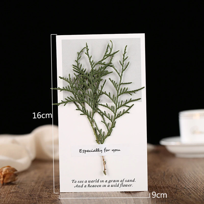 Новинка 1 шт. модный романтический подарок на свадьбу День рождения сушеные цветы