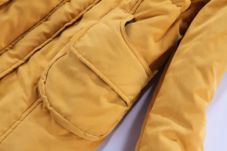 Новое Женское пальто с капюшоном на весну и зиму плотная куртка длинным рукавом