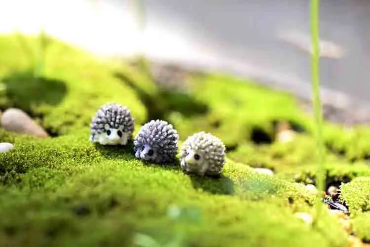 10 шт. мини-Ежик миниатюрные декоративные фигурки мини-сказочный сад животные мох