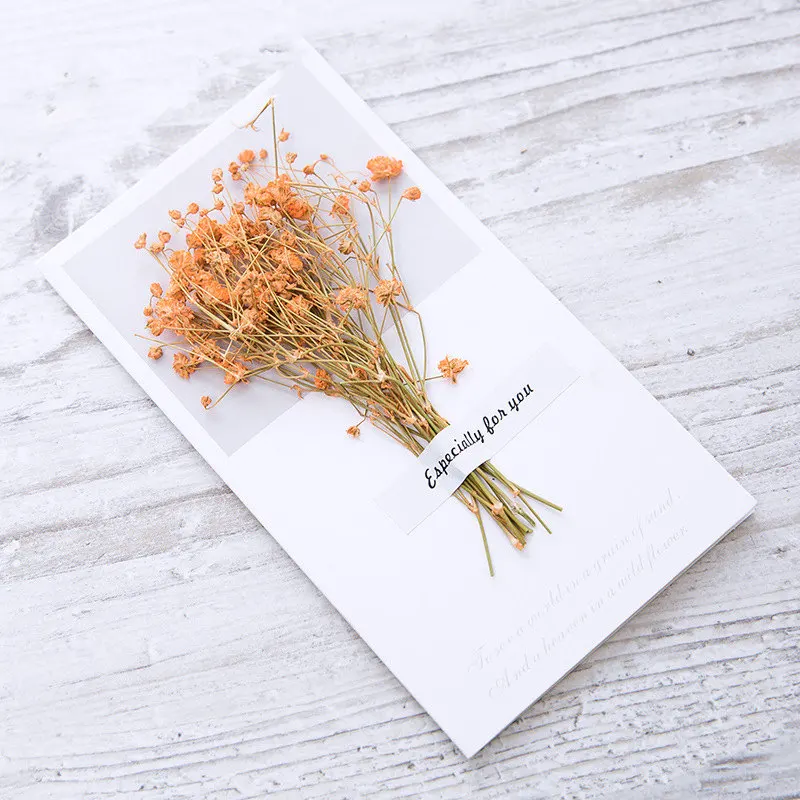 6 Gift Creative Dried Flowers+Papercard Folding Type 10PC Greeting Cards Christmas Birthday Party Wedding DIY Blessing Invitation - Цвет: 6