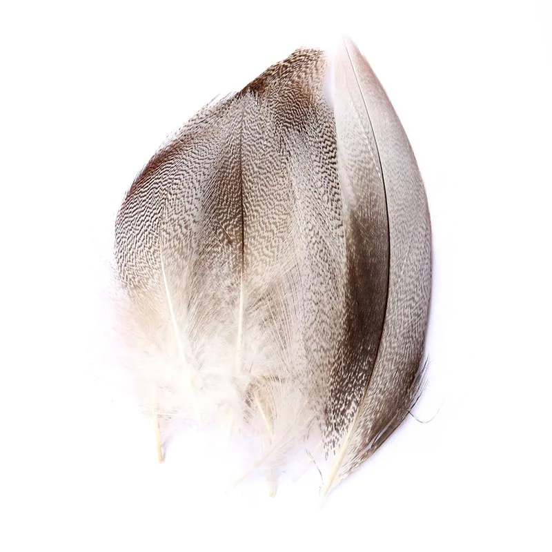 

Exquisite Hot Model 30 Chicken Feather Natural Feathers 6-12CM Wedding Dress DIY Jewelry Fluffy Beautiful Popular Decoration