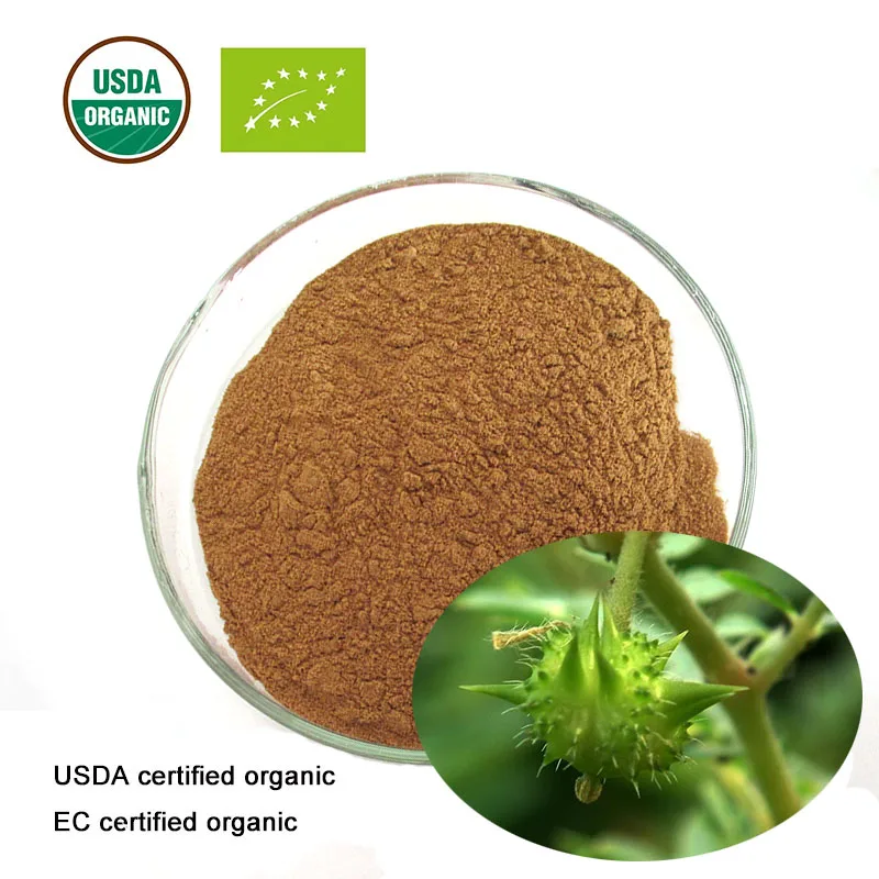 USDA и EC сертифицированный органический экстракт tribulus terrestris 20:1