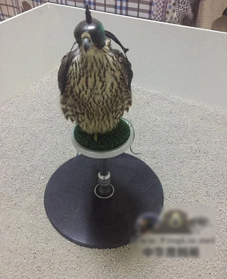 Профессиональный соколиный окунь Орел Сокол Saker из нержавеющей стали строительные леса рамки ястреб клейкая мраморная основа Braze газон платформы