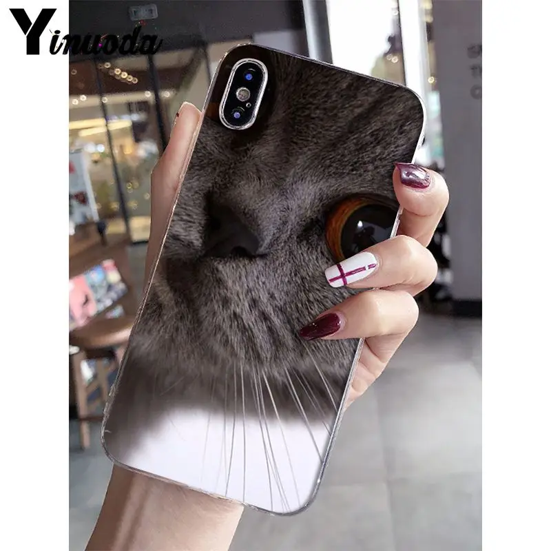 A2 Yinuoda Британский короткошерстный Кот поделка-чехол для телефона для iPhone 5 5Sx 6 7plus 8 8Plus X XS MAX XR Fundas Capa - Цвет: A2