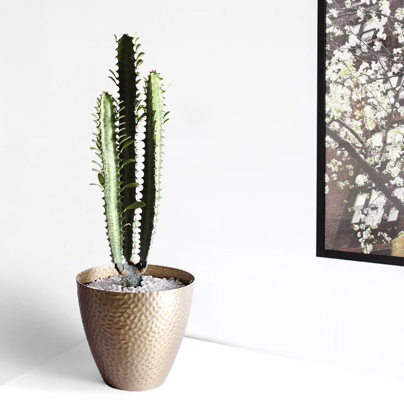 Новинка ins популярная Золотая ваза Золотой Железный цветочный горшок для дома