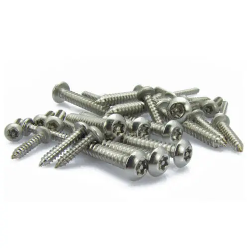 Винты самонарезающие из нержавеющей стали M2.9 Torx с круглой головкой и колтусом x 16