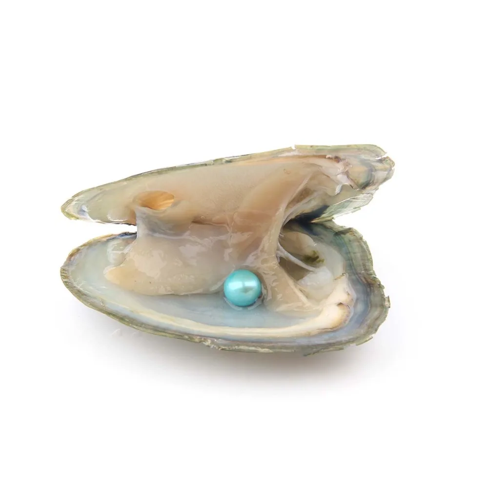 10 шт./партия жемчуг Oyster Пресноводный Культивированный летний цвет Love Wish жемчуг Oyster с 7-8 мм круглый жемчуг внутри цвет