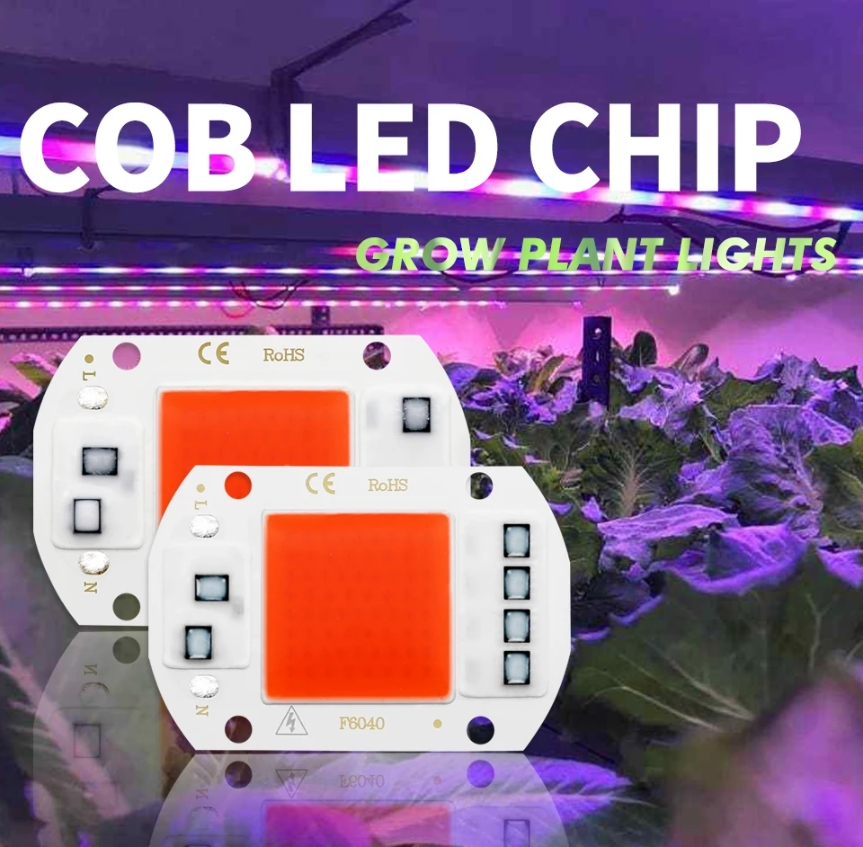 COB светодиодный Grow светильник полный спектр чип нет необходимости водитель AC 220V 20W 30W 50W травяной лампы для растений светильник Крытый рост рассады лампы