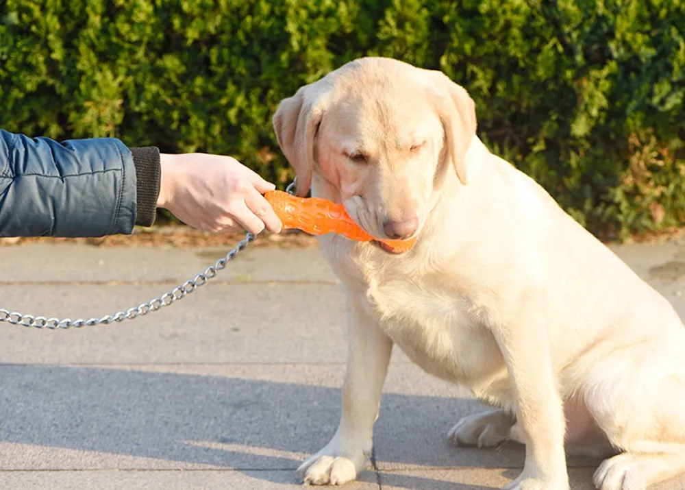 Pet Зуб чистый писк большие собаки интерактивные игрушки для Золотого ретривера тренировочный инструмент собака жевательная игрушка звук молярная большая собака игрушки