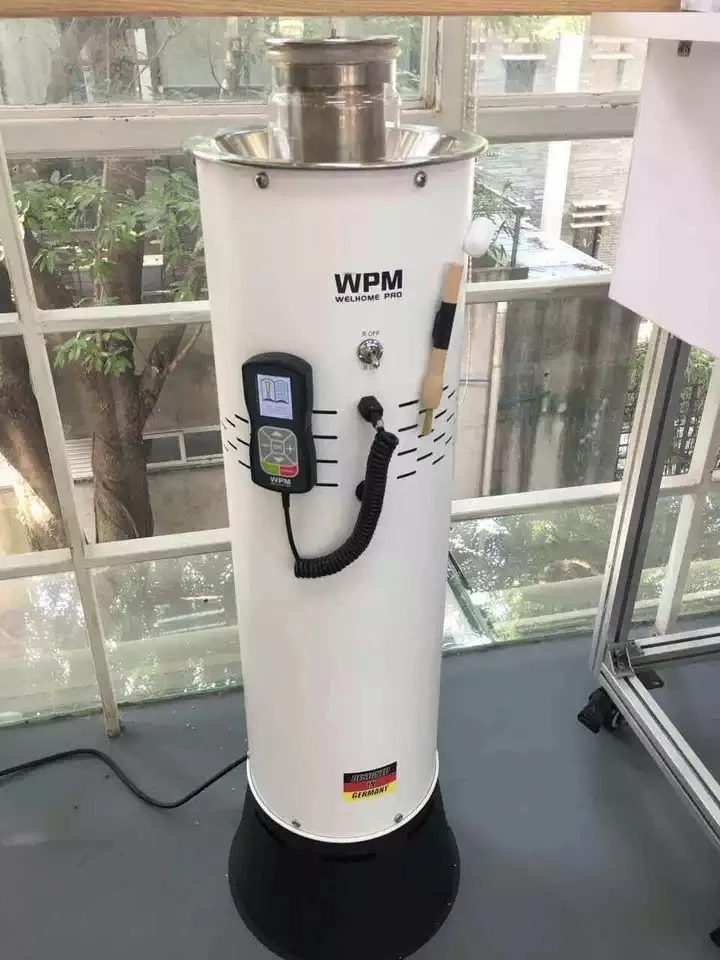 Welhome/WPM DR-100 автоматическая машина для обжаривания зерен горячего воздуха машина для выпечки Жареная Машина для фасоли потребитель и коммерческий