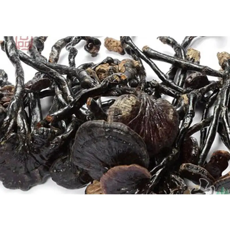 1000g Dried Wild Lingzhi Reishi Mushrooms Ganoderma Lucidum Top Grade Chinese Long Leg Natural Anti-cancer Herbal Tea H2016-35 |